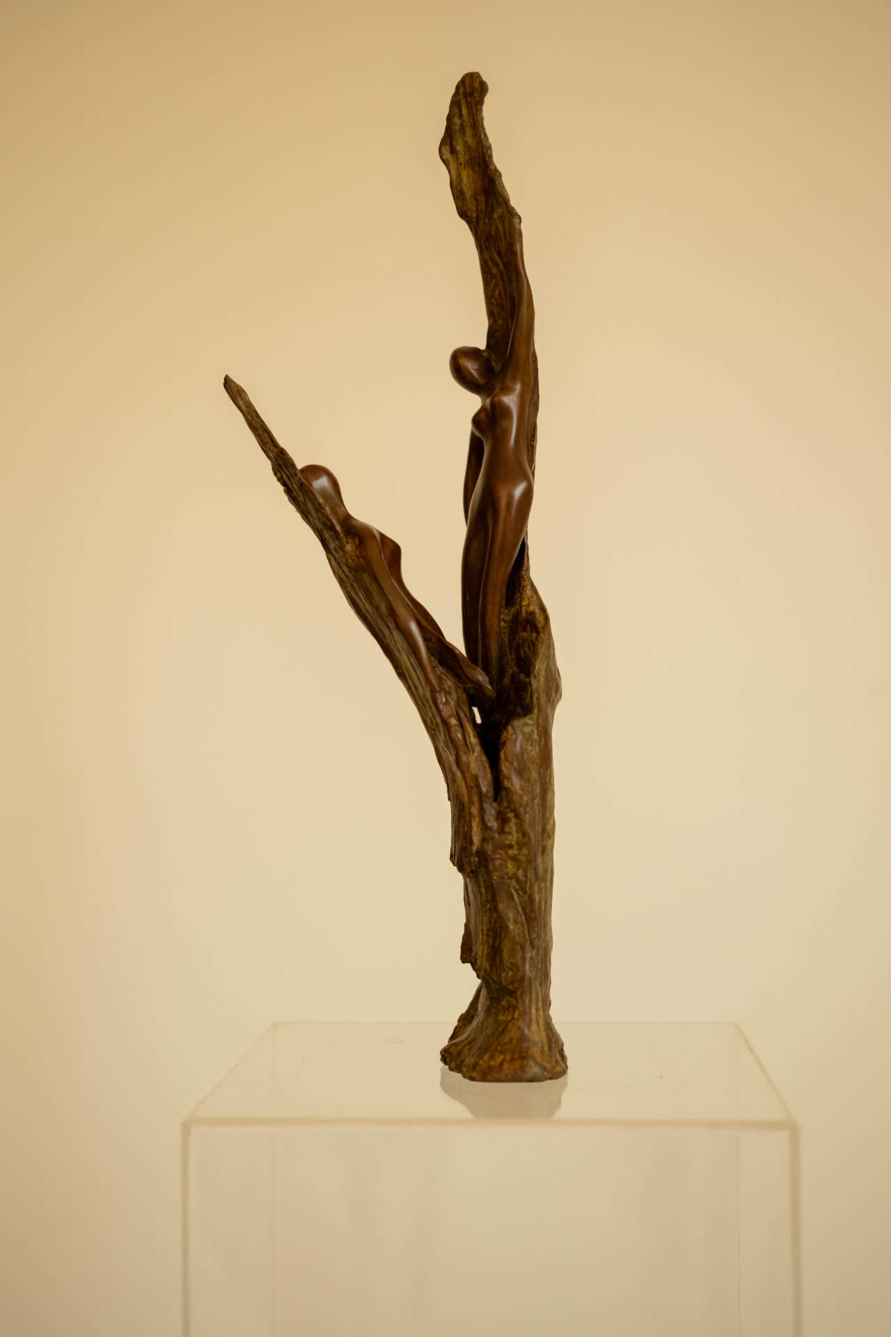 Reaching view