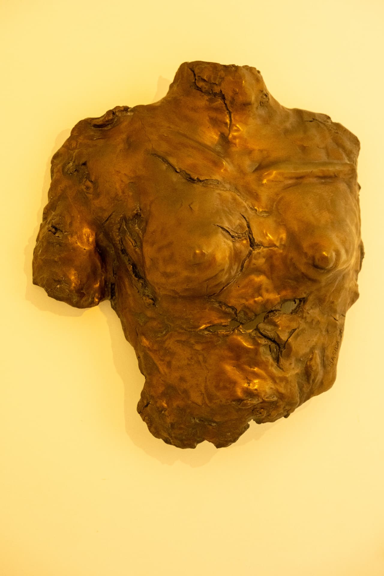 Torso Relief, wall-mounted bronze sculpture