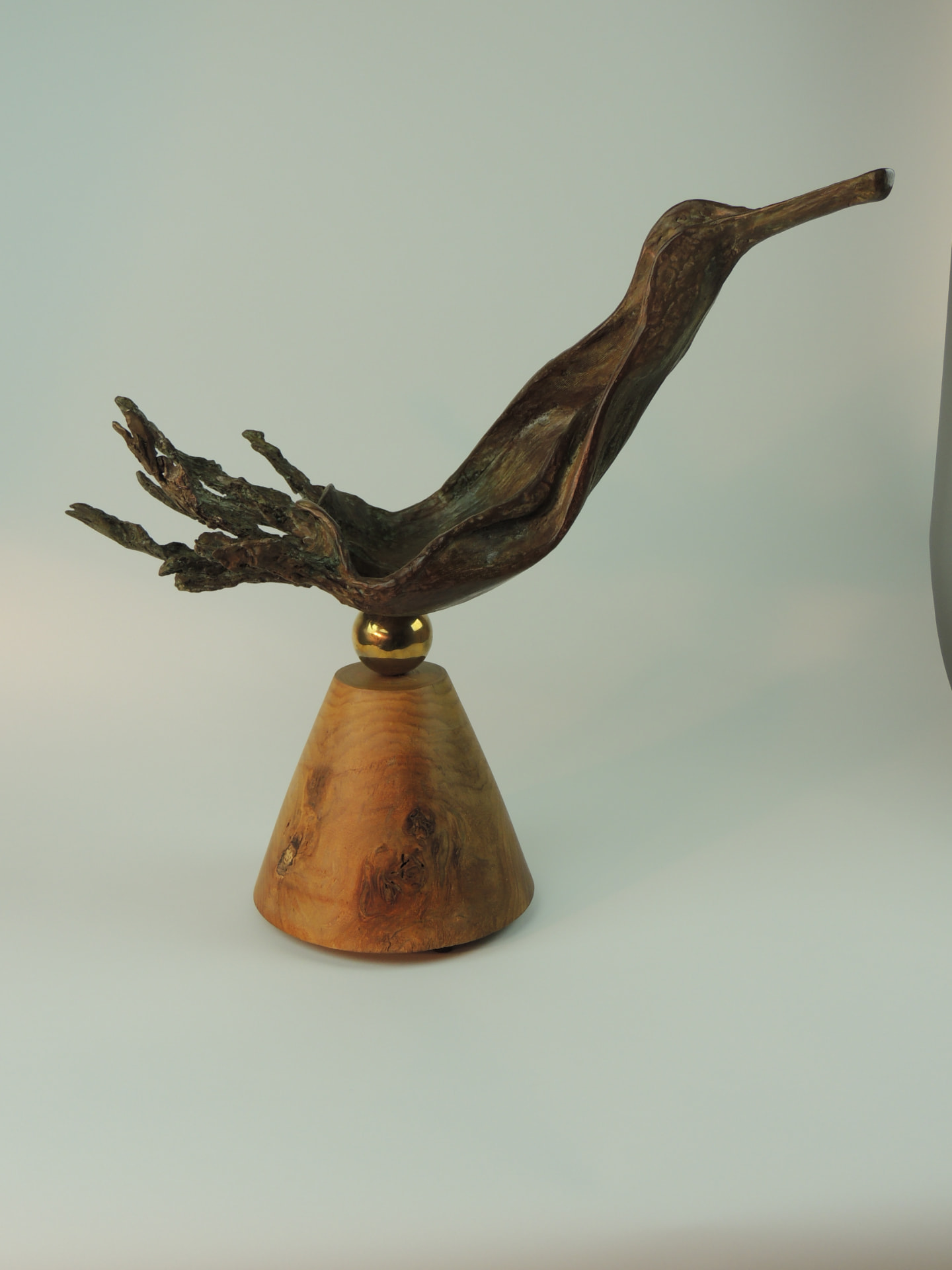 Bird on a Sphere — view 1