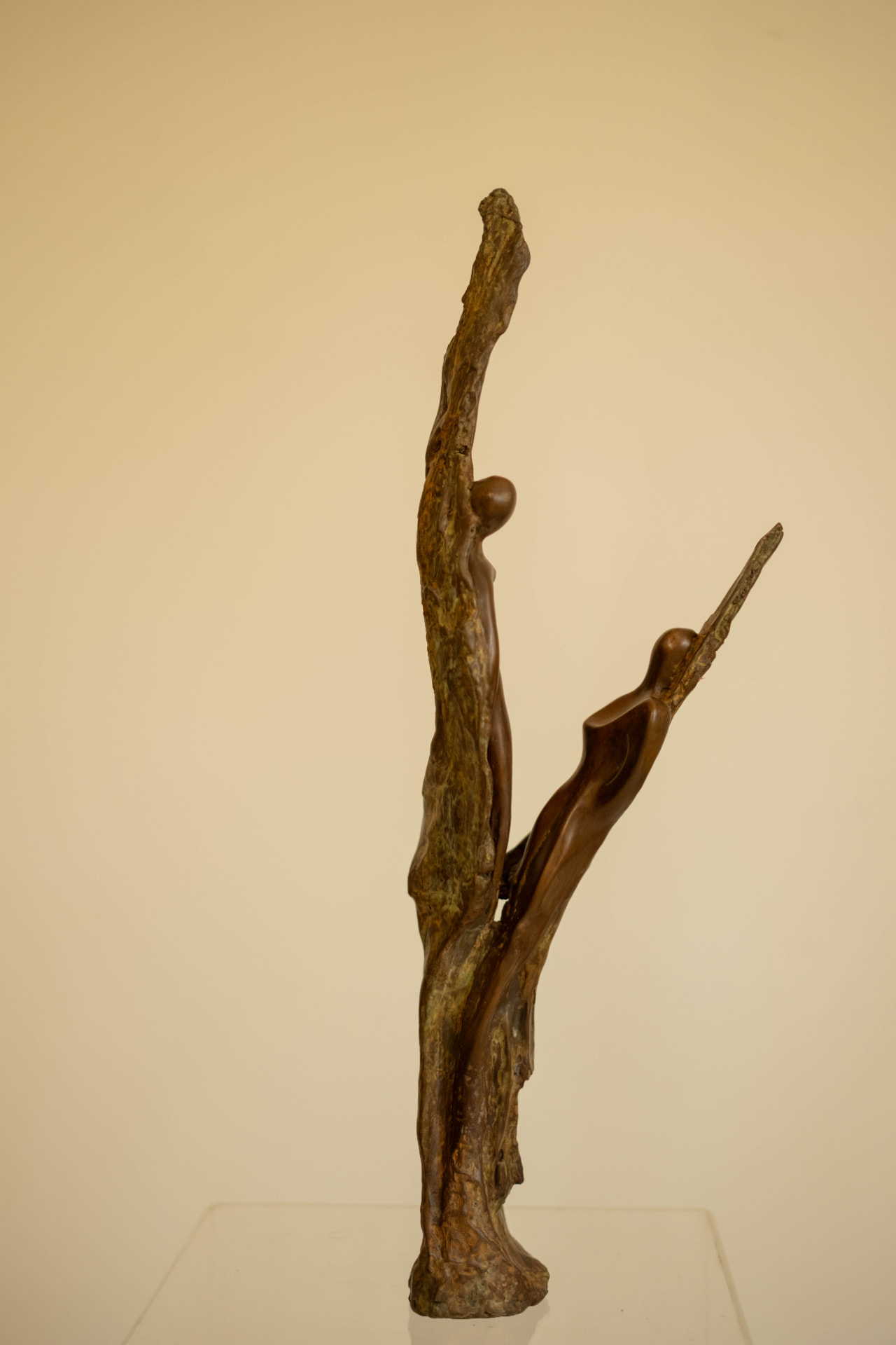 Reaching view