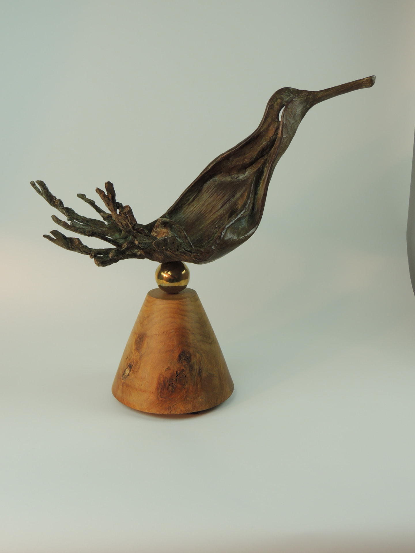 Bird on a Sphere — view 0