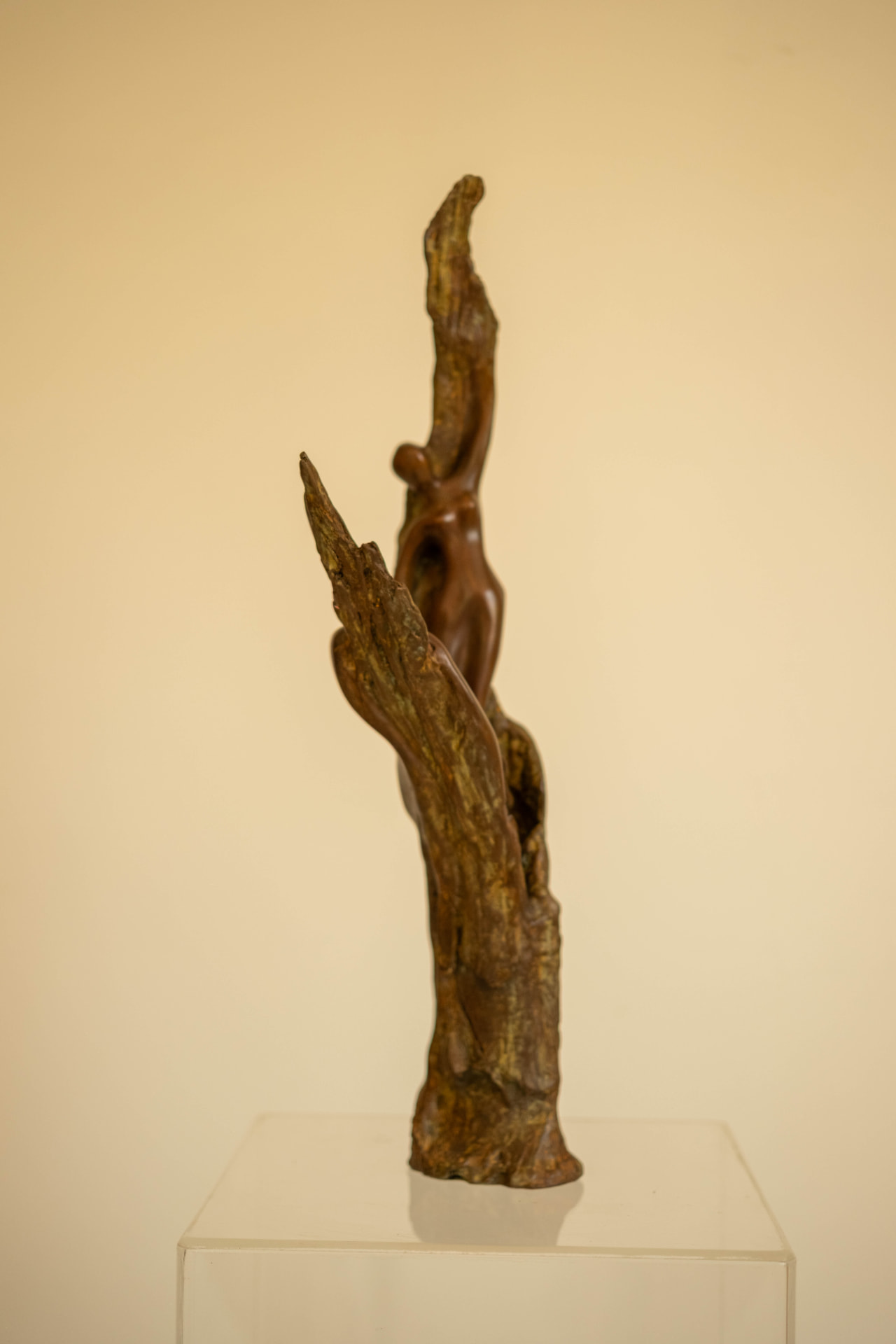 Reaching view