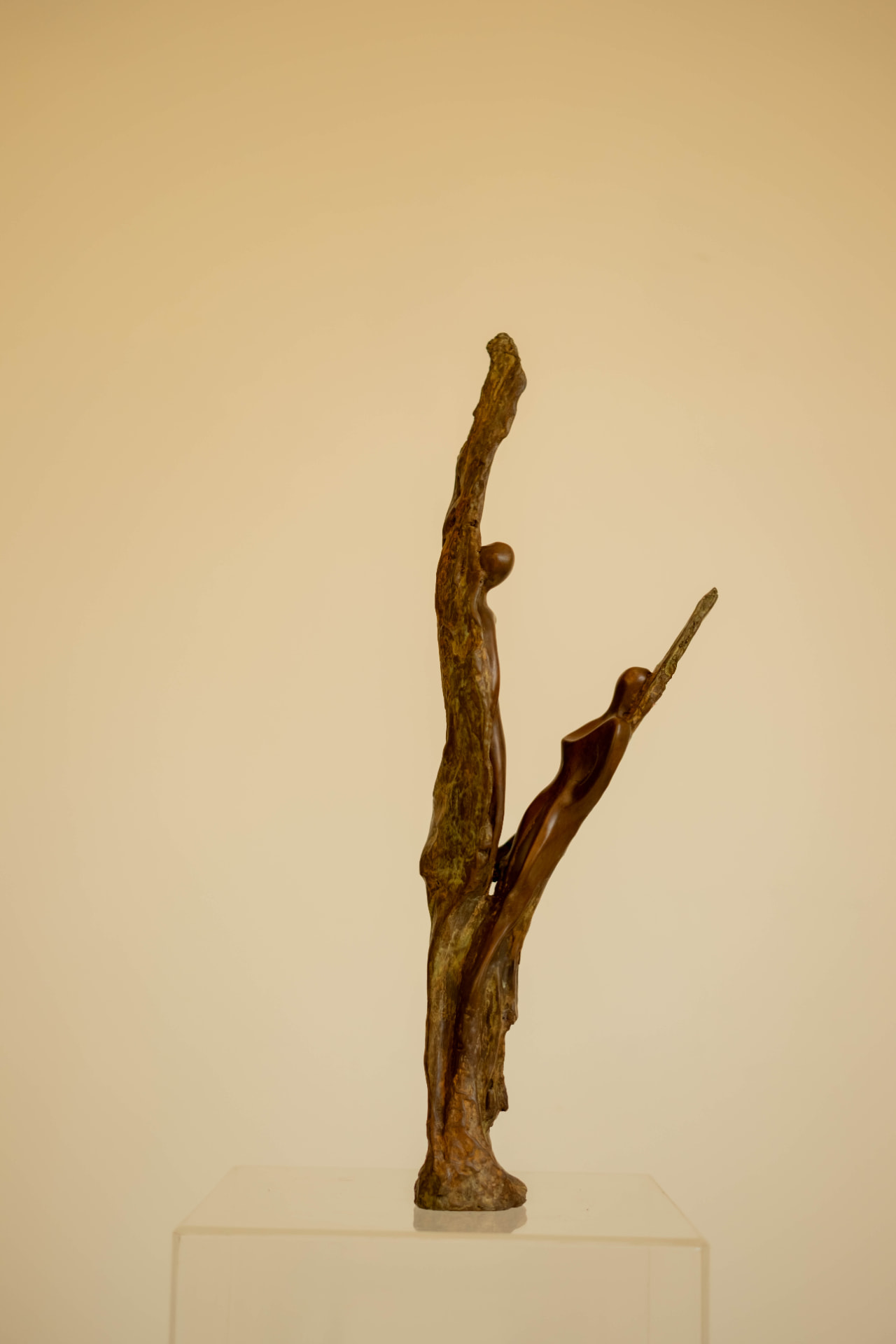 Reaching view